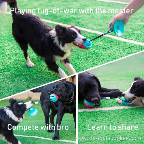 Pet Dogs Teething Rope Toys with Suction Cup